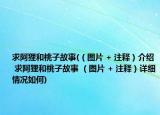 求阿狸和桃子故事(（图片 + 注释）介绍 求阿狸和桃子故事 （图片 + 注释）详细情况如何)
