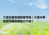 三亚水果市场批发市场（三亚水果批发市场在哪简介介绍）