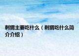 刺猬主要吃什么（刺猬吃什么简介介绍）
