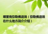 哪里有弥勒佛道场（弥勒佛道场在什么地方简介介绍）