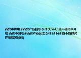 西安中国电子西安产业园怎么样(好不好 值不值得买介绍 西安中国电子西安产业园怎么样 好不好 值不值得买详细情况如何)