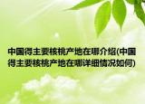 中国得主要核桃产地在哪介绍(中国得主要核桃产地在哪详细情况如何)