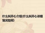 什么叫开心介绍(什么叫开心详细情况如何)