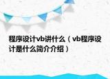 程序设计vb讲什么（vb程序设计是什么简介介绍）