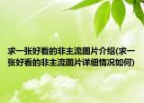 求一张好看的非主流图片介绍(求一张好看的非主流图片详细情况如何)