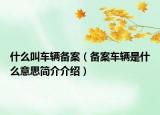 什么叫车辆备案（备案车辆是什么意思简介介绍）
