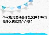 dwg格式文件是什么文件（dwg是什么格式简介介绍）