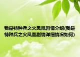 我是特种兵之火凤凰剧情介绍(我是特种兵之火凤凰剧情详细情况如何)