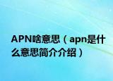 APN啥意思（apn是什么意思简介介绍）