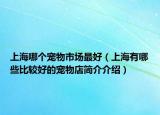上海哪个宠物市场最好（上海有哪些比较好的宠物店简介介绍）