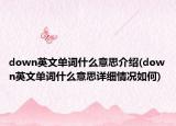 down英文单词什么意思介绍(down英文单词什么意思详细情况如何)