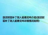 剑灵时装补丁别人能看见吗介绍(剑灵时装补丁别人能看见吗详细情况如何)