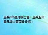 当兵5年是几级士官（当兵五年是几级士官简介介绍）