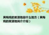 黄梅戏的发源地是什么地方（黄梅戏的发源地简介介绍）