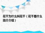 花干为什么叫花干（花干是什么简介介绍）