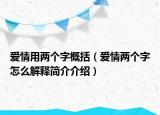 爱情用两个字概括（爱情两个字怎么解释简介介绍）