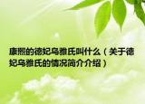 康熙的德妃乌雅氏叫什么（关于德妃乌雅氏的情况简介介绍）
