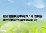在线客服系统哪家好?介绍(在线客服系统哪家好?详细情况如何)