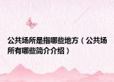 公共场所是指哪些地方（公共场所有哪些简介介绍）