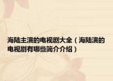 海陆主演的电视剧大全（海陆演的电视剧有哪些简介介绍）