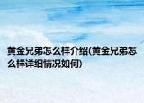 黄金兄弟怎么样介绍(黄金兄弟怎么样详细情况如何)