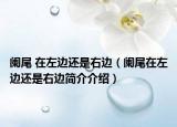 阑尾 在左边还是右边（阑尾在左边还是右边简介介绍）