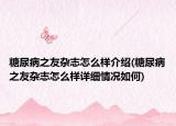 糖尿病之友杂志怎么样介绍(糖尿病之友杂志怎么样详细情况如何)
