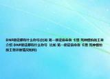 DNF使徒都有什么称号(比如 第一使徒宿命者 卡恩 死神惧怕的王者介绍 DNF使徒都有什么称号  比如 第一使徒宿命者 卡恩 死神惧怕的王者详细情况如何)