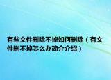 有些文件删除不掉如何删除（有文件删不掉怎么办简介介绍）