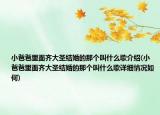 小爸爸里面齐大圣结婚的那个叫什么歌介绍(小爸爸里面齐大圣结婚的那个叫什么歌详细情况如何)