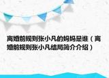 离婚前规则张小凡的妈妈是谁（离婚前规则张小凡结局简介介绍）