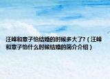 汪峰和章子怡结婚的时候多大了?（汪峰和章子怡什么时候结婚的简介介绍）