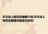 天天向上杨蓉袁姗姗介绍(天天向上杨蓉袁姗姗详细情况如何)