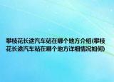 攀枝花长途汽车站在哪个地方介绍(攀枝花长途汽车站在哪个地方详细情况如何)