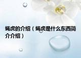 蝇虎的介绍（蝇虎是什么东西简介介绍）