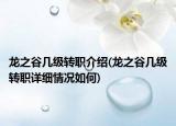 龙之谷几级转职介绍(龙之谷几级转职详细情况如何)