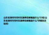 山东省淄博市周村区国泰街邮编是什么?介绍(山东省淄博市周村区国泰街邮编是什么?详细情况如何)