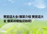 黄笑话大全(爆笑介绍 黄笑话大全 爆笑详细情况如何)
