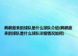 鹈鹕原来的球队是什么球队介绍(鹈鹕原来的球队是什么球队详细情况如何)