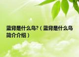 蓝背是什么鸟?（蓝背是什么鸟简介介绍）