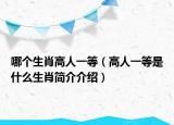 哪个生肖高人一等（高人一等是什么生肖简介介绍）