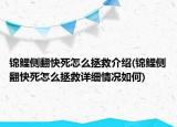 锦鲤侧翻快死怎么拯救介绍(锦鲤侧翻快死怎么拯救详细情况如何)