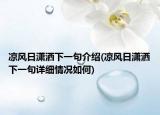凉风日潇洒下一句介绍(凉风日潇洒下一句详细情况如何)