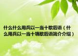 什么什么用兵以一当十歇后语（什么用兵以一当十填歇后语简介介绍）