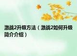 激战2升级方法（激战2如何升级简介介绍）