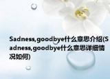Sadness,goodbye什么意思介绍(Sadness,goodbye什么意思详细情况如何)