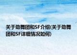关于劲舞团和SF介绍(关于劲舞团和SF详细情况如何)