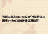 智谋三国志online攻略介绍(智谋三国志online攻略详细情况如何)