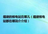 福建的核电站在哪儿（福建核电站都在哪简介介绍）