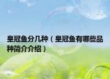 皇冠鱼分几种（皇冠鱼有哪些品种简介介绍）
